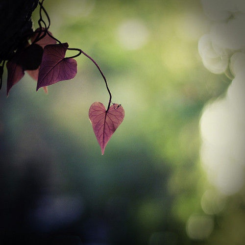 4630f1a121e2c4e234519583ccbc081a