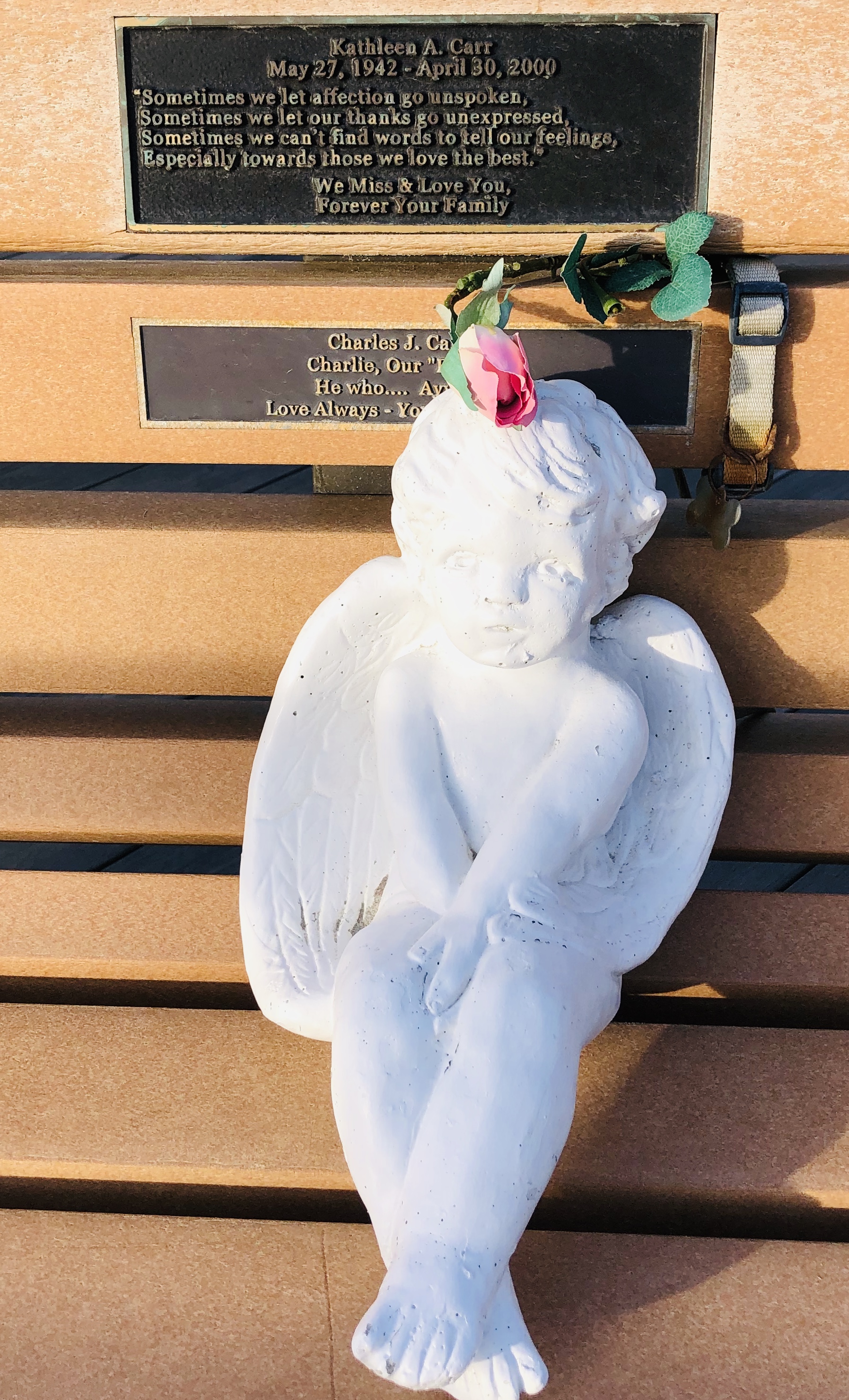 A Bench Along Our Way